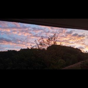 Meet your Posher, Savannah